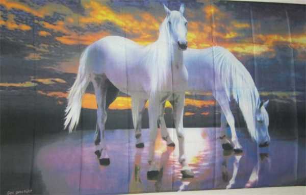 Pferd 1 Flagge 90x150 cm,160 Dernier (G)