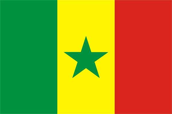 Senegal Flagge 90x150 cm