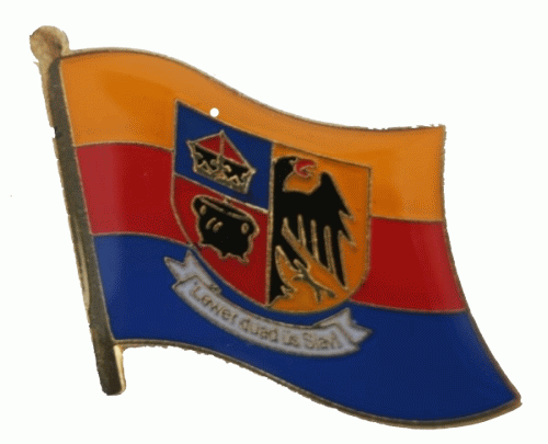 Nordfriesland Pin