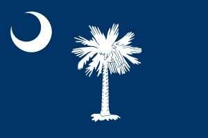 South Carolina Flagge 90x150 cm