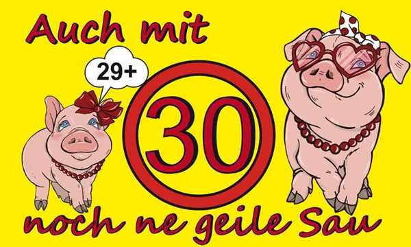 Geburtstag- 30 Jahre , Auch noch mit 30 ne geile Sau,( Sie ) 30. Geburtstag Flagge 90x150 cm Digital