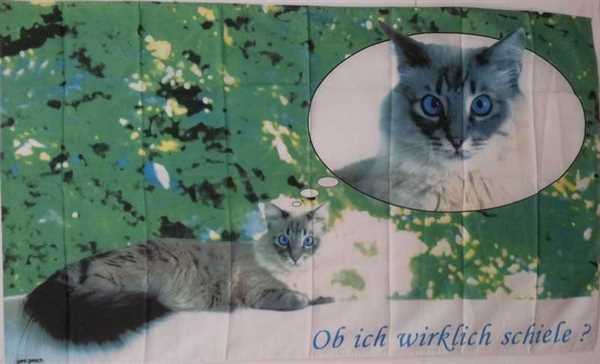 Katze Flagge 90x150 cm,160 Dernier (G)