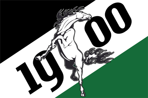 Mönchengladbach 1900 Flagge 90x150 cm