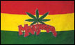 Marihuana Cannabis Flagge 90x150 cm,160 Dernier (G)