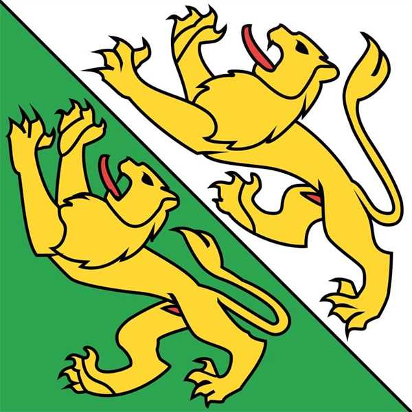 Thurgau Flagge 60x60 cm / 1B Ware Abverkauf