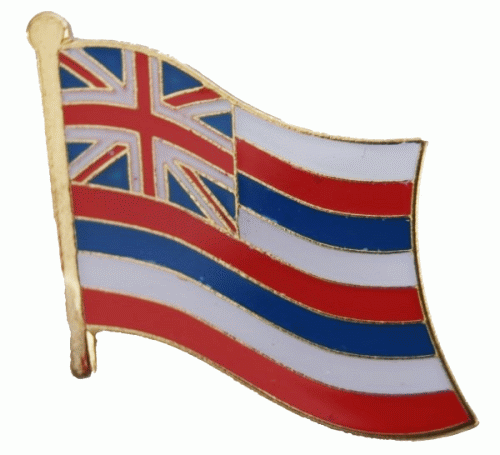 Hawaii Pin