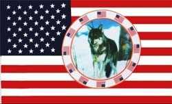 USA mit Wolf Flagge 90x150 cm